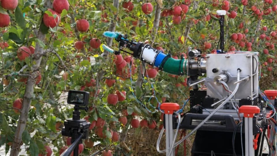 Robotic equipment positioned beside apples growing in an orchard.
