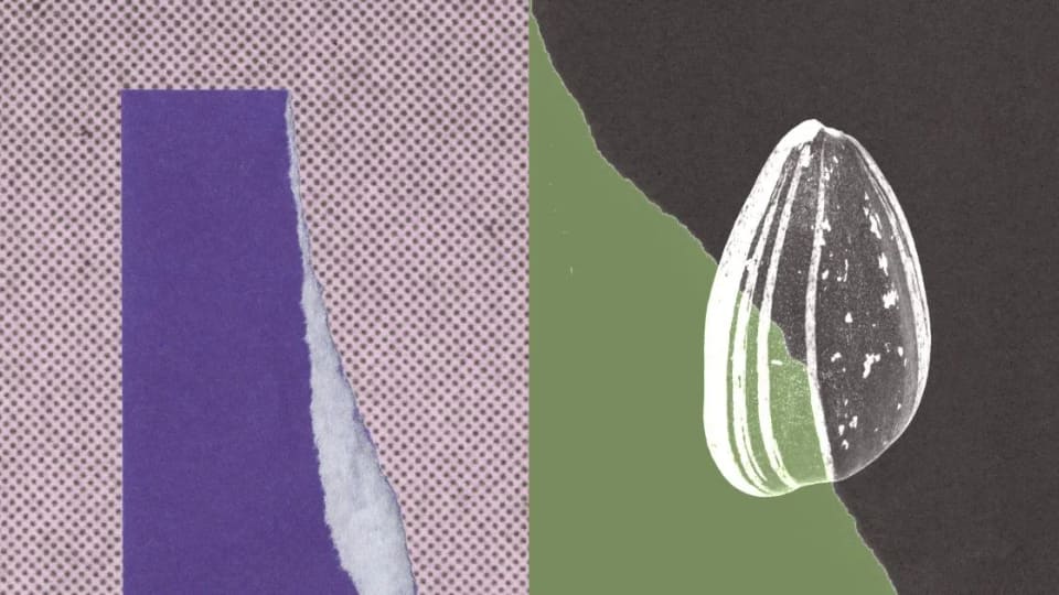 Anthropic illustration of a seed against purple, green and dark textured shapes.
