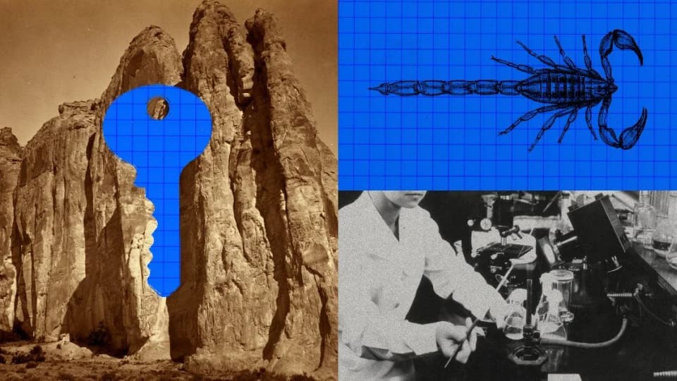 Anthropic collage combining a key, a scorpion drawing and laboratory imagery.