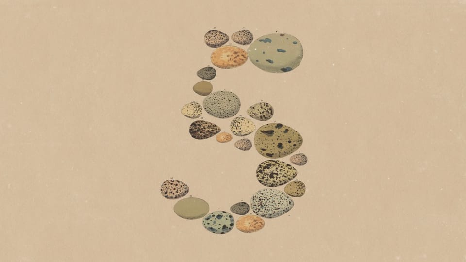 Anthropic Launches Opus 5 With Fewer Restrictions and Improved Performance Capabilities