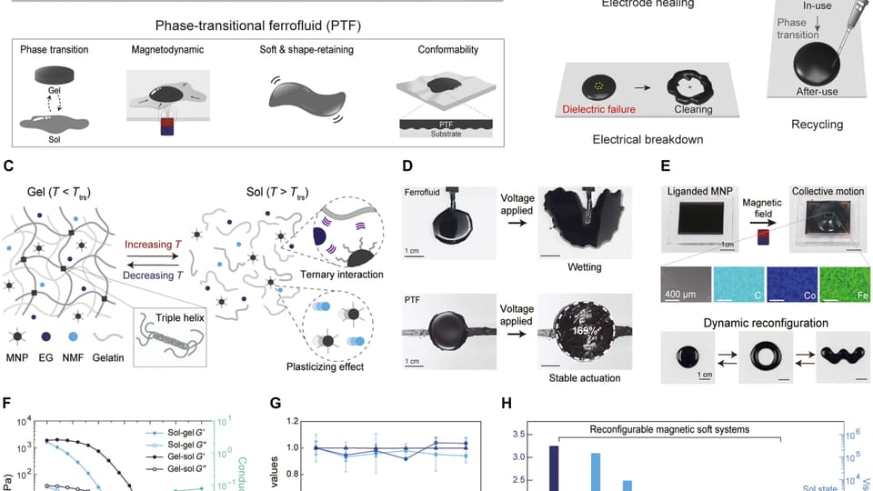Self-healing artificial muscle enables robots to reshape and adapt on command