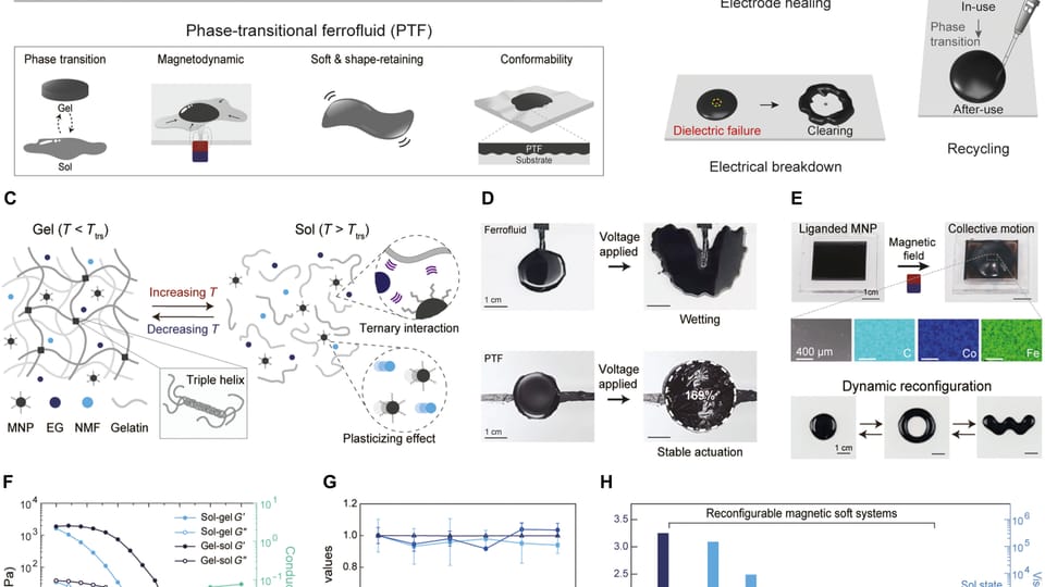 Self-healing artificial muscle enables robots to reshape and adapt on command