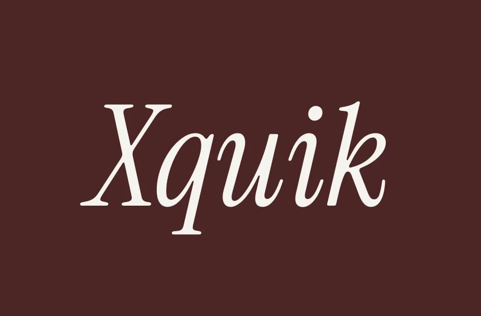 Xquik